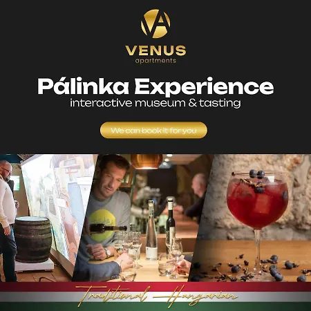 Venus - Dohany Street Ii アパート ブダペスト